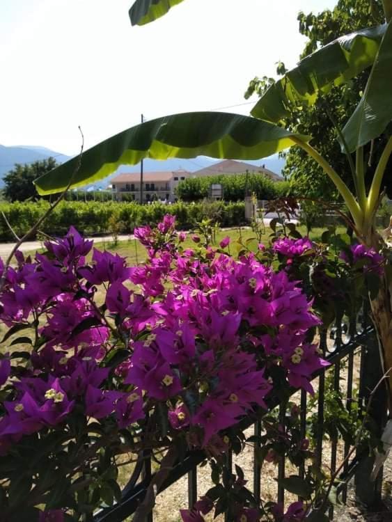 サミ Rosegardenヴィラ エクステリア 写真
